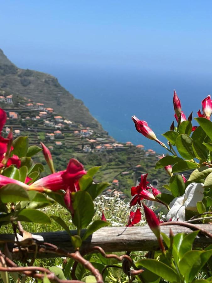 Tropical House Villa Ribeira Brava Kültér fotó