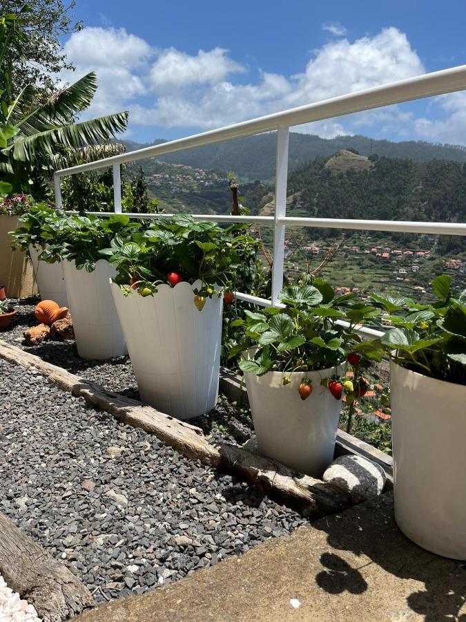 Tropical House Villa Ribeira Brava Kültér fotó