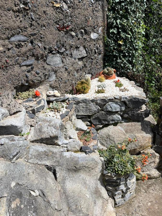 Tropical House Villa Ribeira Brava Kültér fotó