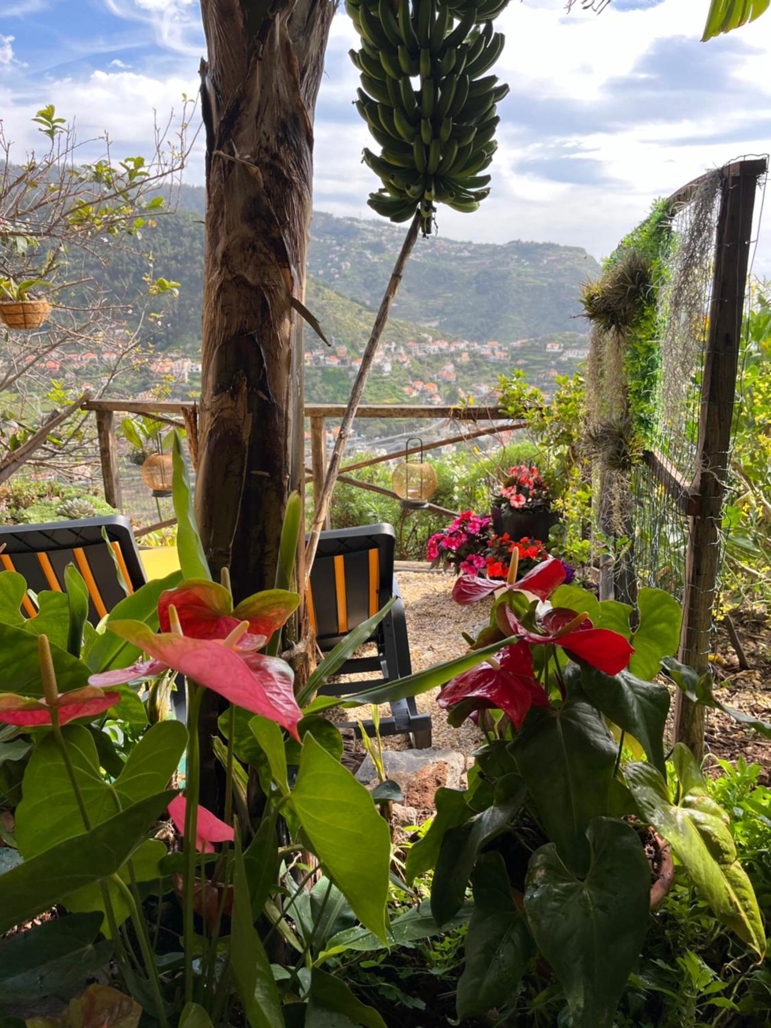 Tropical House Villa Ribeira Brava Kültér fotó