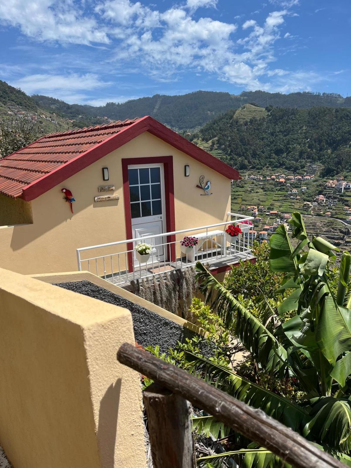 Tropical House Villa Ribeira Brava Kültér fotó