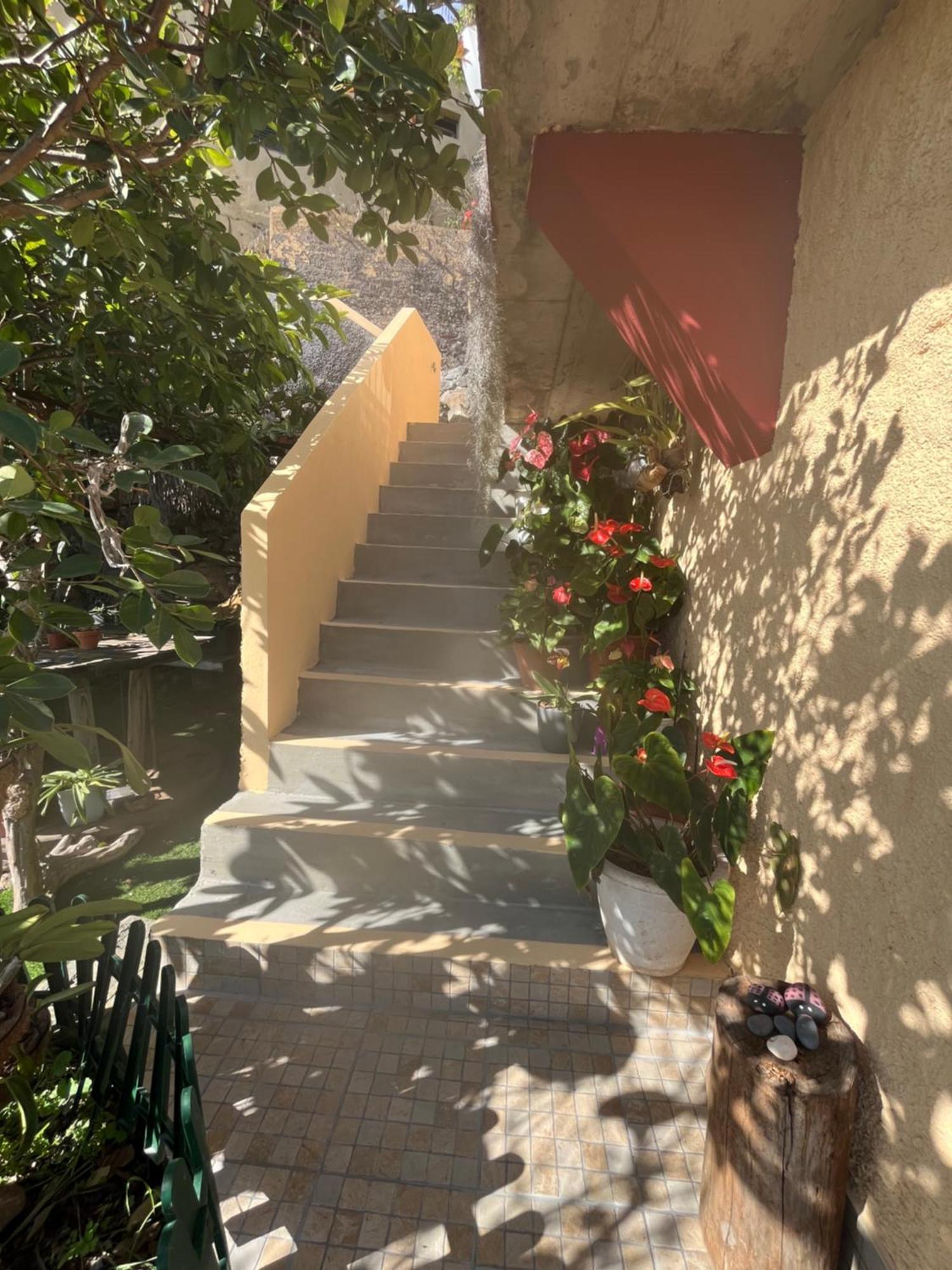Tropical House Villa Ribeira Brava Kültér fotó