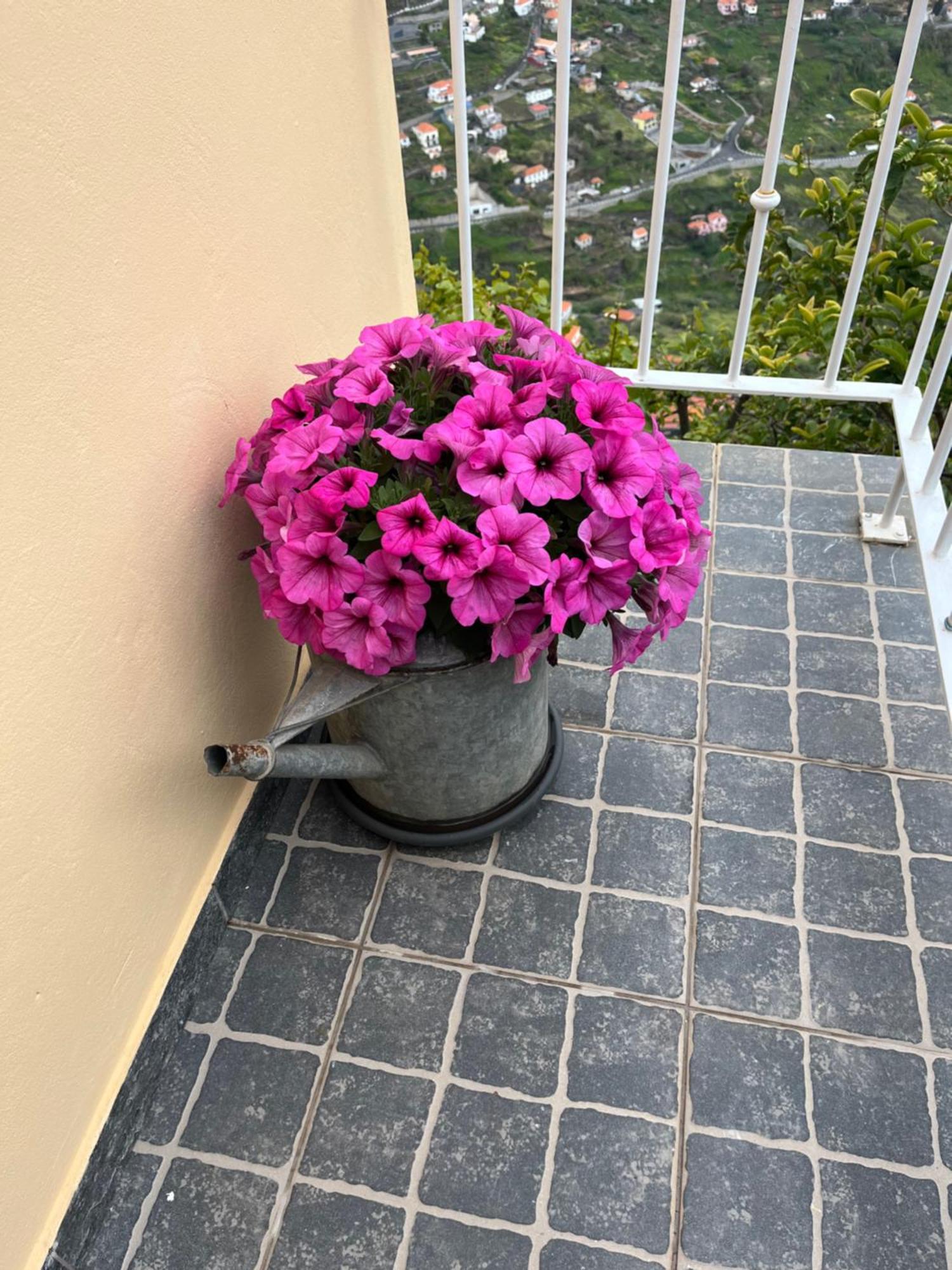 Tropical House Villa Ribeira Brava Kültér fotó